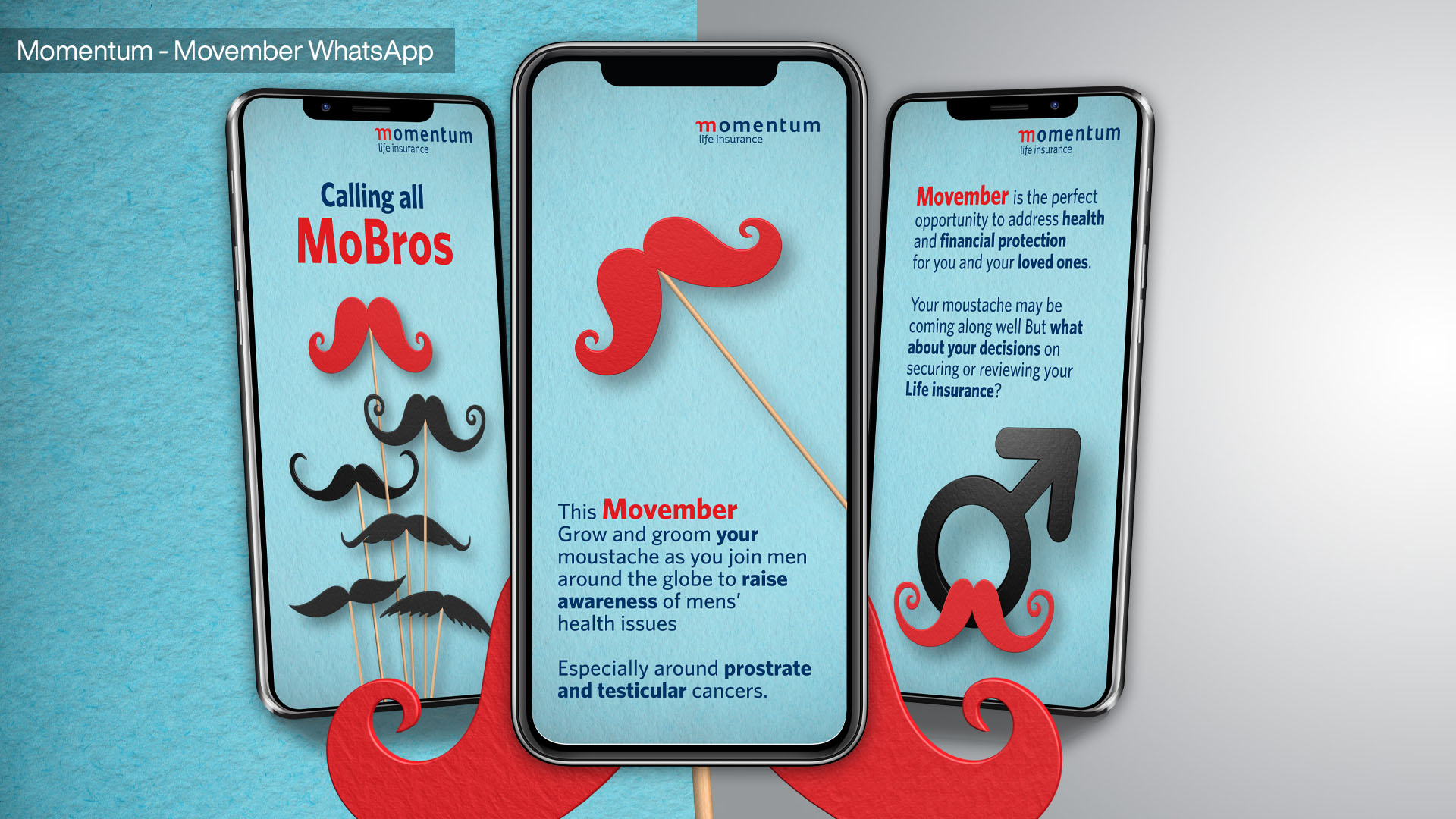 Momentum Movember WhatsApp - Integrated Marketing Communications, Direct Marketing